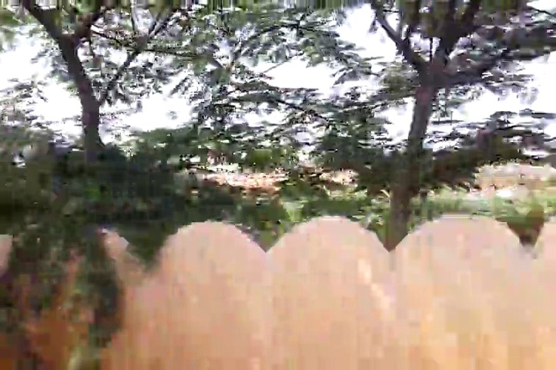 20151010_110219