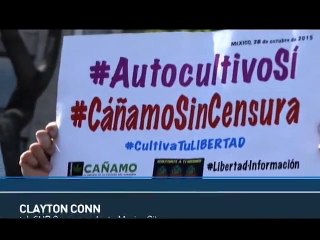 Mexican Supreme Court OKs Marijuana for Personal Consumption