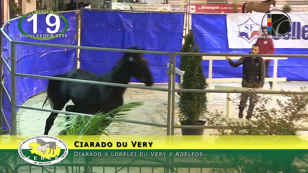 19-Ciarado du Very