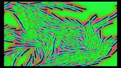 Full Documentary HD★ The Sex Evolution ★ Discovery Channel 2015 360p