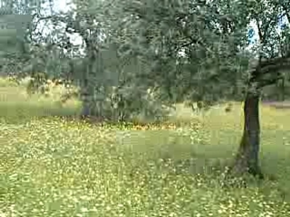 Kabylie
