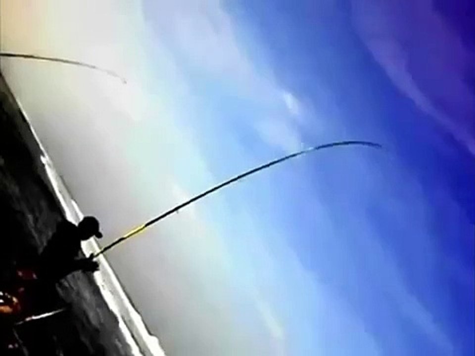 Peche en surfcasting  Peche au maroc . Courbine de 5 kilo a Dakhla.