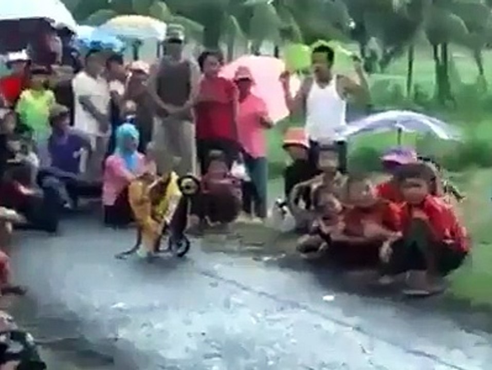 Biker Monkey Doing Stunts in front of Public