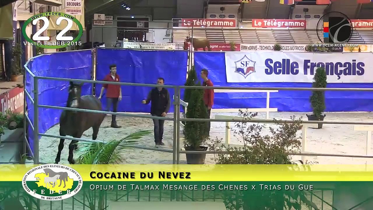22-Cocaine du Nevez