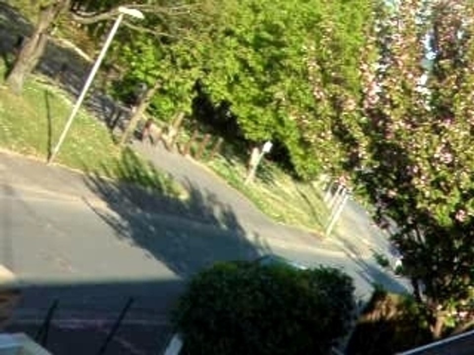 Sisi Joker Roue Ariière RR