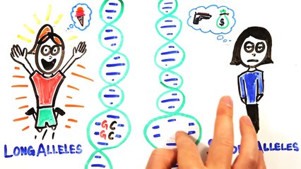 Is This Glass Half Empty?