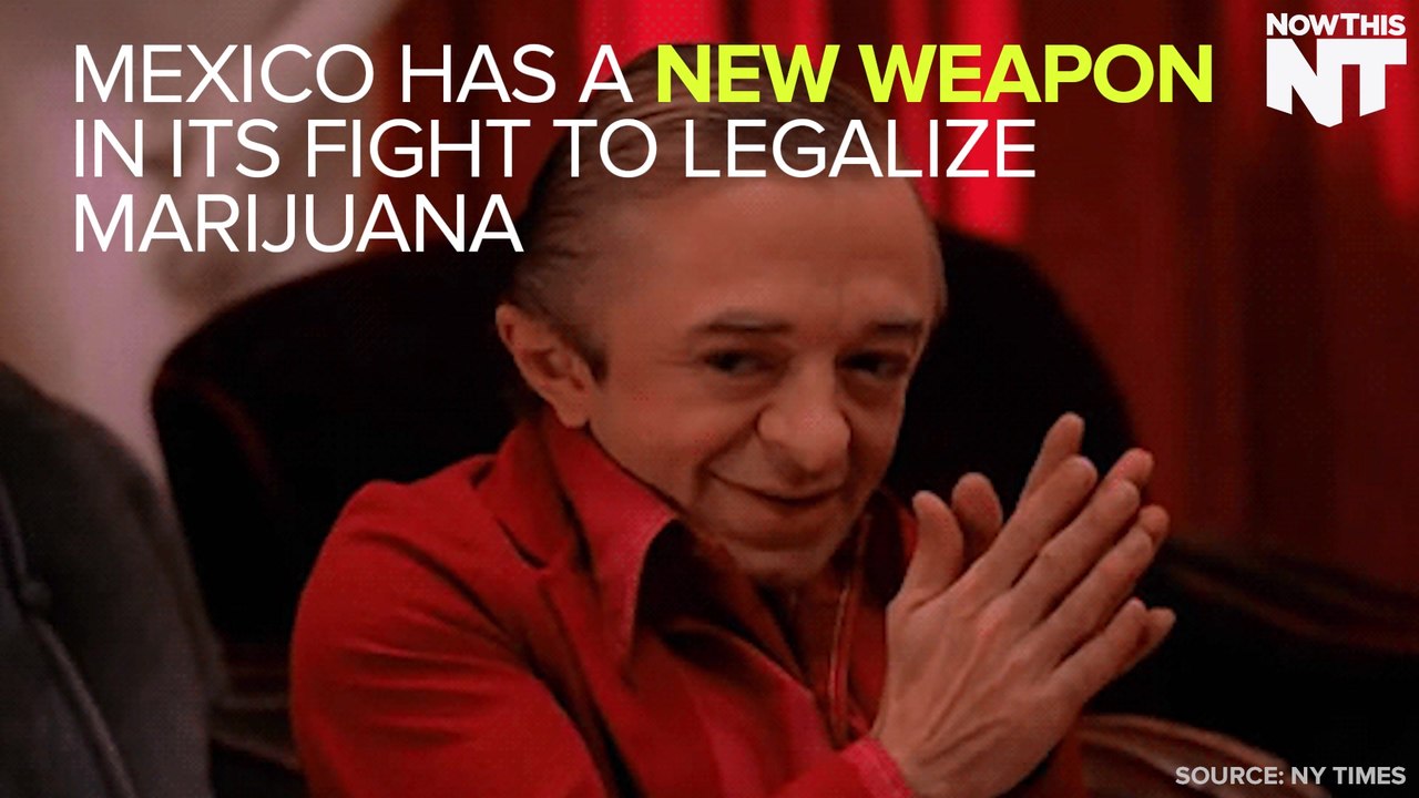 Mexico's Supreme Court Clears Path For Marijuana Legalization