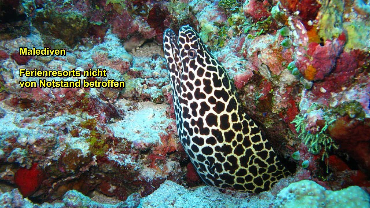 Reise TV: 5. November