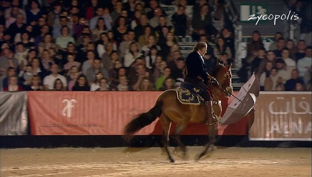 Mario Luraschi - Nuit du Cheval 2011 - LIVE