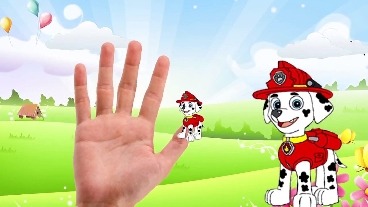 PAW PATROL Finger Family Collection - Nursery Rhymes Paw Patrol