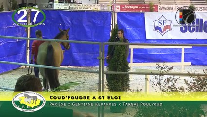 27-Coud Foudre a st Eloi