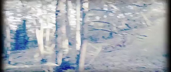 Zombie Killers: Elephants Graveyard Trailer