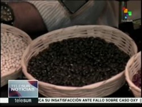 El Salvador: Mesa de Soberanía Alimentaria rechaza uso de transgénicos