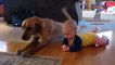 Funny babies imitating dogs - Cute dog  baby compilation - Funny Videos Babies And Dog
