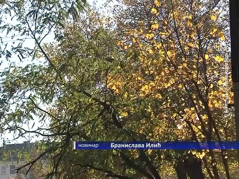 Posledice klimatskih promena sve izraženije, 05. novembar 2015. (RTV Bor)