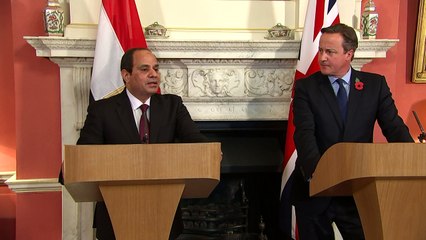 Sisi: British security experts visited Sharm 10 months ago