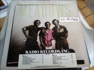 THE MEADOWS -I'LL BE YOUR SUNSHINE(RIP ETCUT)RADIO REC 81