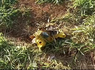 1 MORTO E 7 BALEADOS