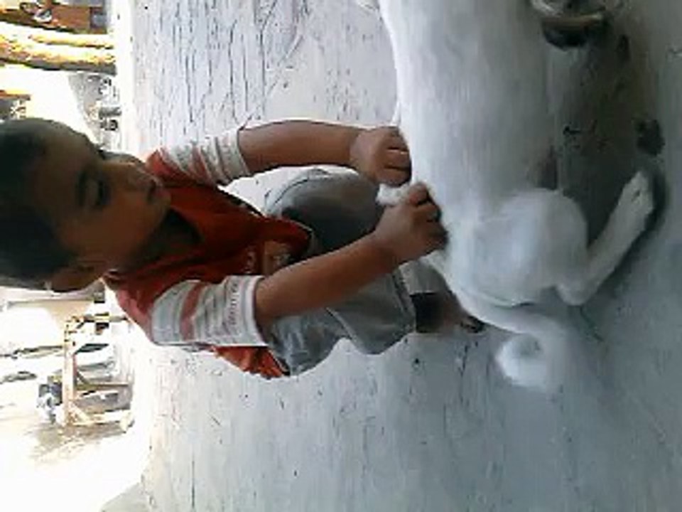 MuXawir Khan