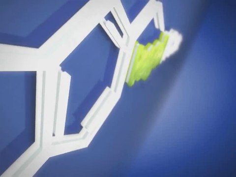 Культивация псилоцибиновых грибов, либо культивация магических грибов