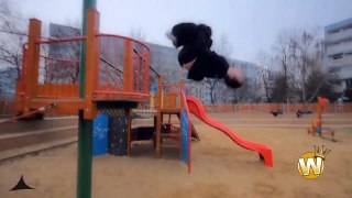 Best Parkour and Freerunning 2013 (with sound)