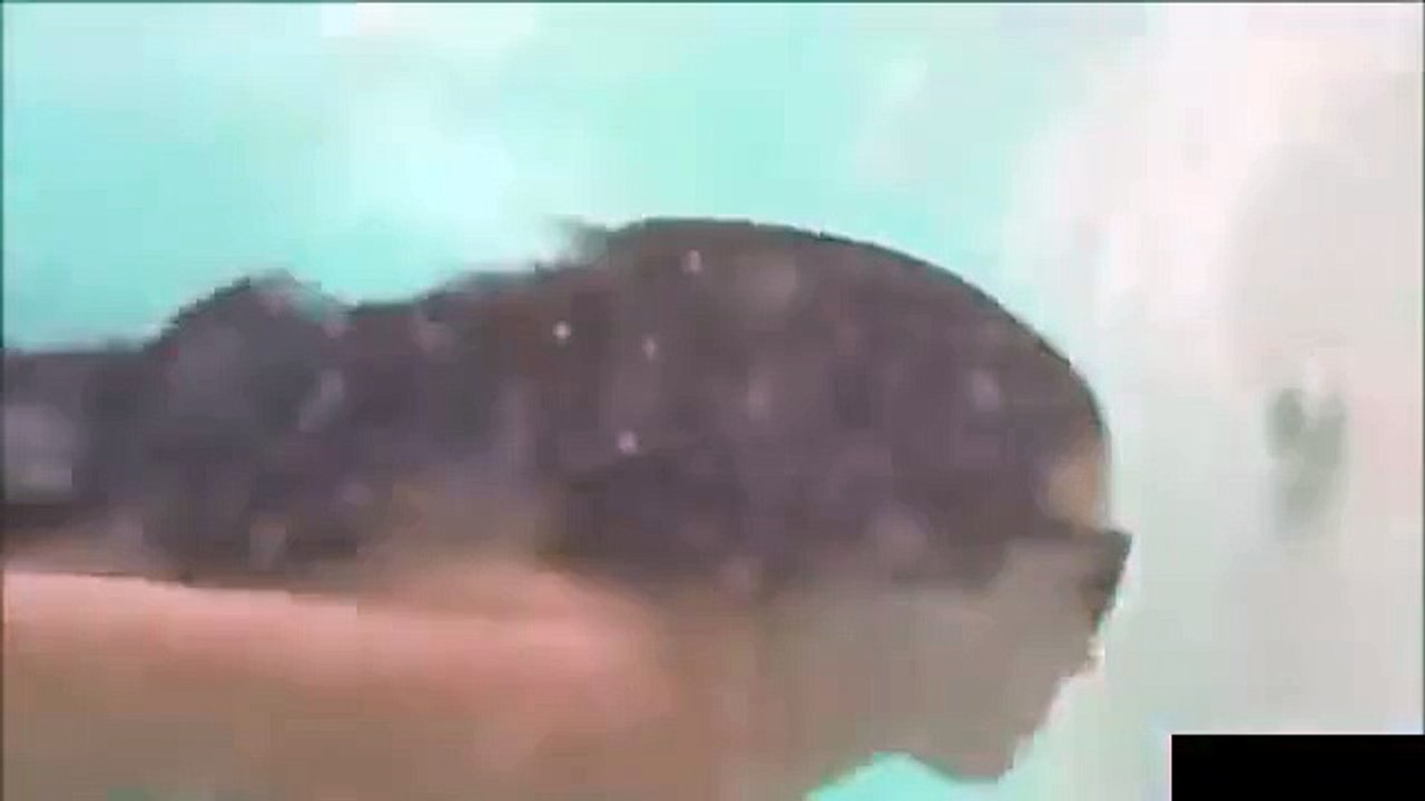 ‫مقاطع مضحكه مقاطع ممنوعه مضحكه بنات مدلعه زى العسل‬ 2015‬