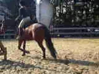 Parcours challenge1/04/2007