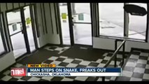 Man is bitten by snake after he steps on it while texting-Caught on CCTV