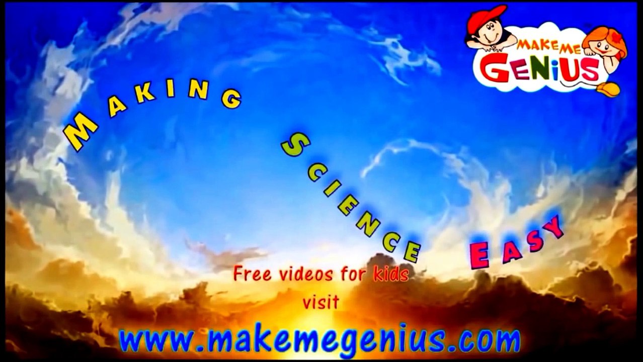 Butterfly life cycle( एक तितली का जीवन चक्र ) for Kids