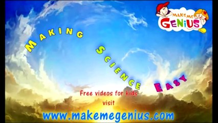 Human Respiratory (Breathing) System -Hindi (हिंदी) for Children