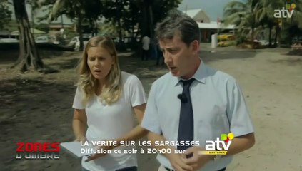 Extrait ZO La vérité sur les Sargasses - Interview Préfet Martinique