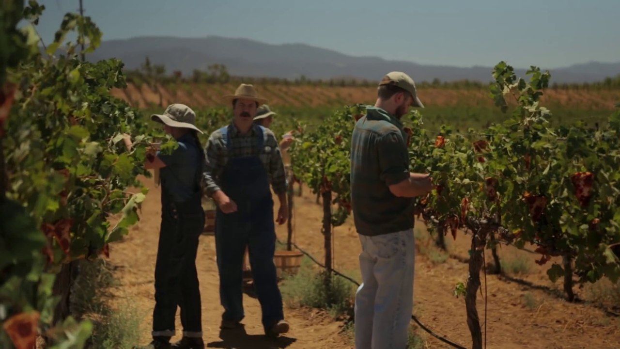 La junk food pousse sur les plantes avec Nick Offerman
