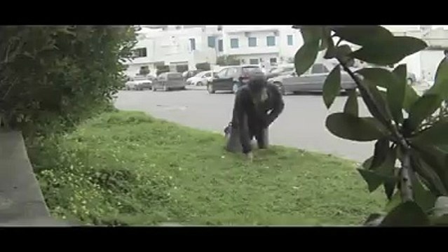 صدق أو لا تصدق يحدث في أحد الأحياء الرّاقية في تونس العاصمة