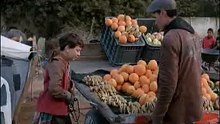 مسلسل مقطوع من شجرة _ الحلقة 14