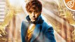 FANTASTIC BEASTS Details Revealed AND a Giveaway!