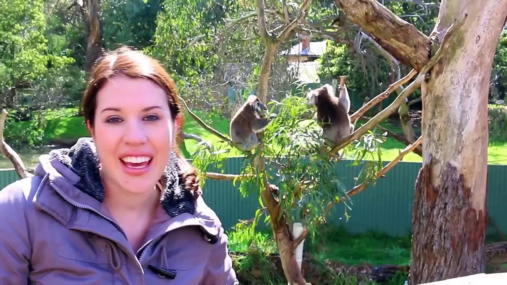 ⁣Feeding Kangaroos & SCARY AUSTRALIAN ANIMALS DisneyCarToys Sandra & ToysReviewToys visit M