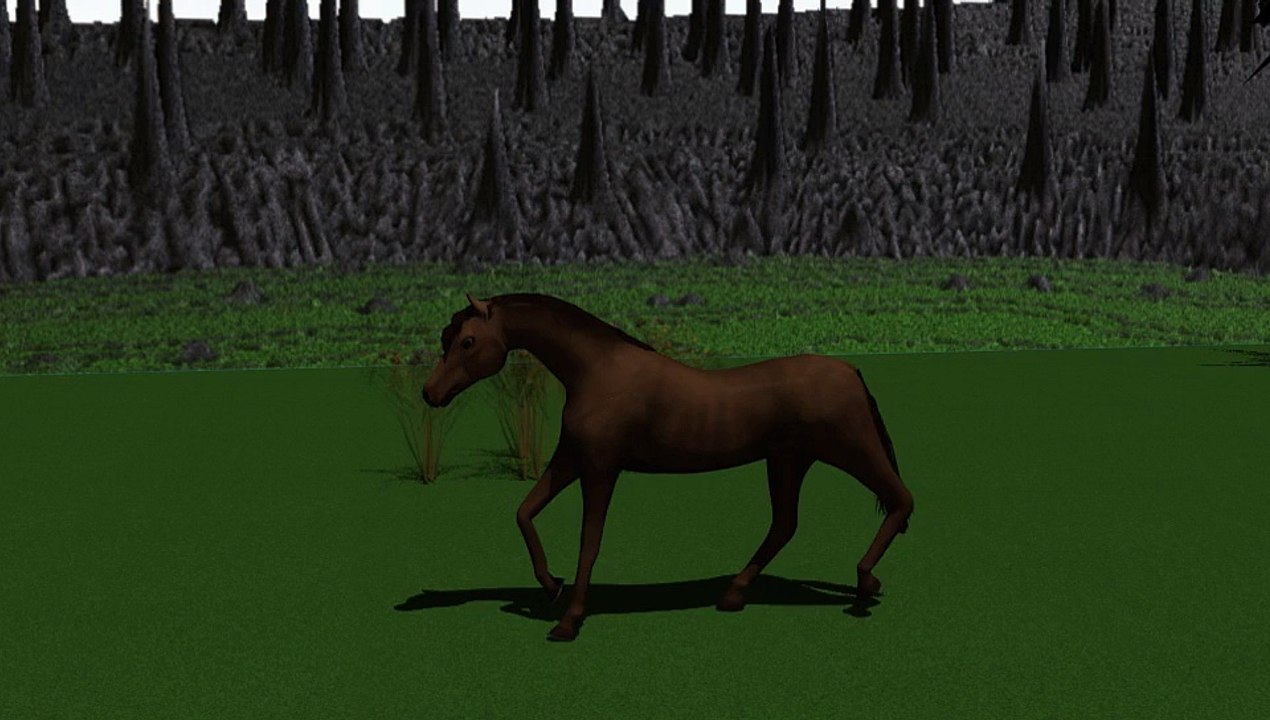 horse_pre-jump-jump