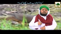 Madani Guldasta 50 - Iddat Main Madani Chennal Dekhna Kesa