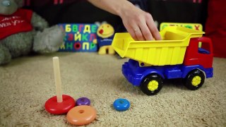 Childrens Videos: Build a Color Pyramid for Kids (Bear, Dog & Toy Truck)