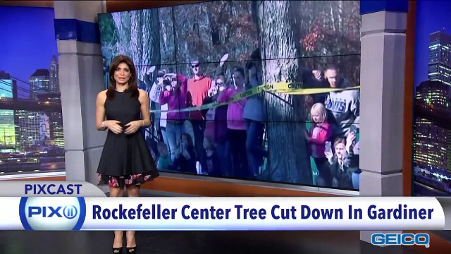 GEICO PIXCAST- The Rockefeller Center Christmas Tree is heading for New York City. - 10Youtube.com