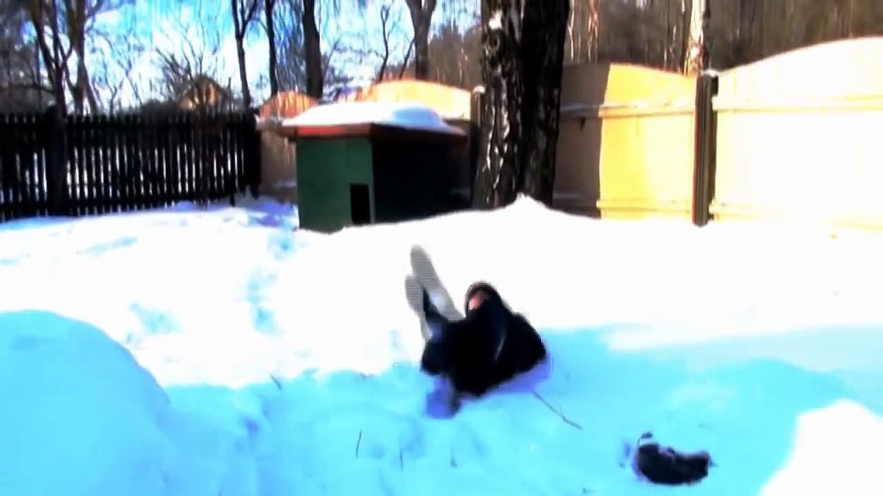 SONY VEGAS split screen test