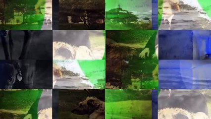 Van Morrison Bulbs (Live From Montreux) (1974) [1080p HD]