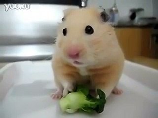 ВОТ ЭТО ВСТАВИЛО