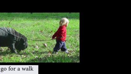 Funniest Moments Captured