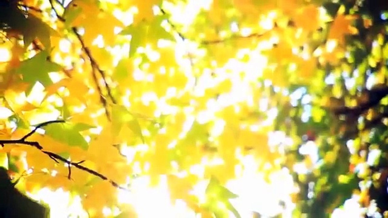 Управление реальностью через восприятие себя. Или в чем подвох. Ада Конде