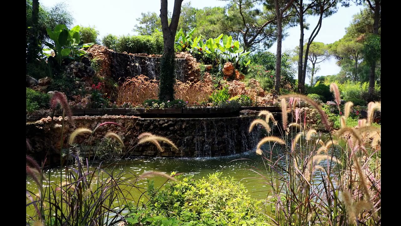 Üvercinka- Cemal Süreya