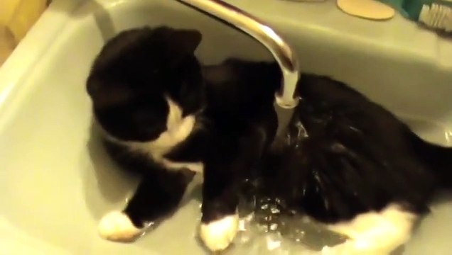 Кеша принимает ванну