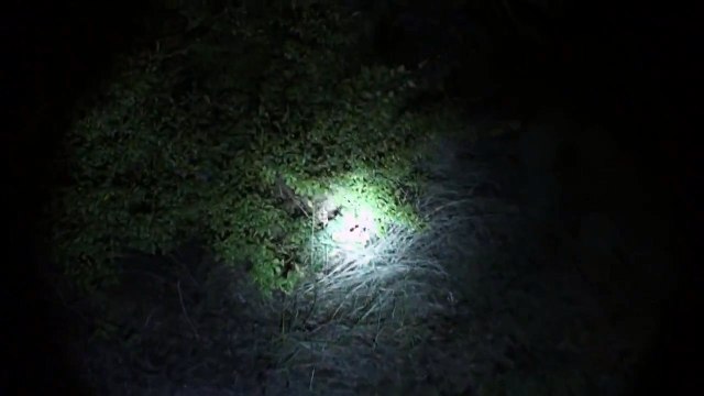 DEMONIC possession Selling my SOUL to SATAN! part 7