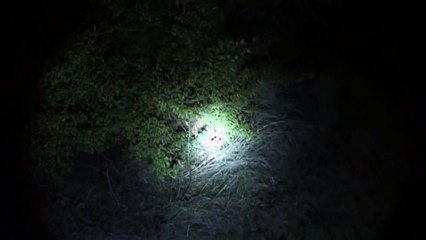 DEMONIC possession Selling my SOUL to SATAN! part 7