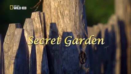 Тайный сад / Secret Garden (2014) HD